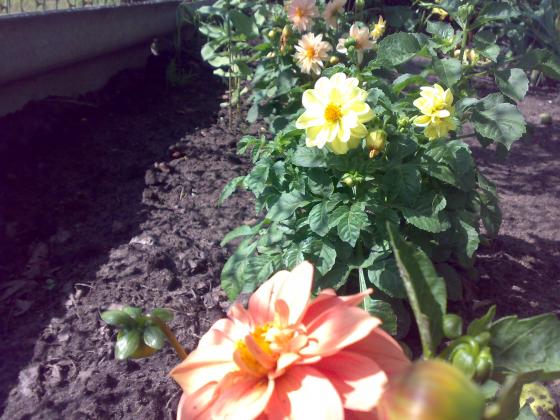 120820121552.jpg