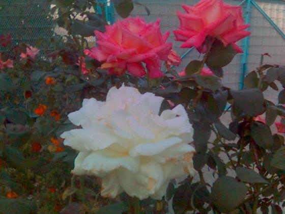 021024_121011.jpg