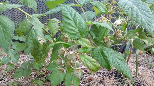 20150827_140521.jpg