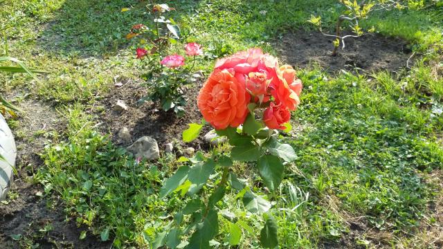 20150813_163129.jpg