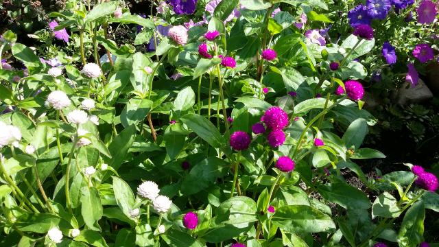 20160811_093941.jpg