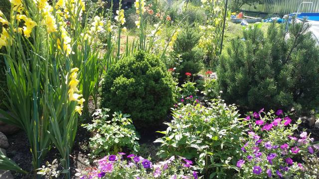 20160806_140613.jpg