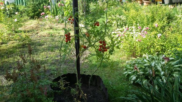 20160804_164224.jpg