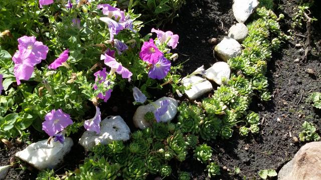 20160811_094005.jpg