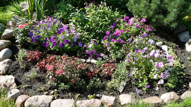 20160811_093155.jpg