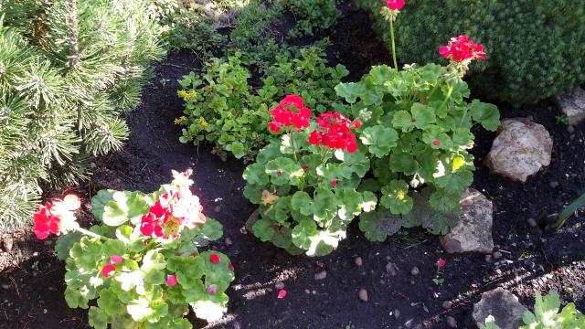 20160811_092201.jpg