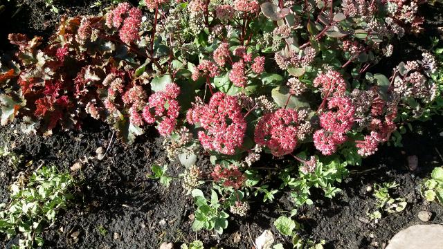 20160811_093906.jpg