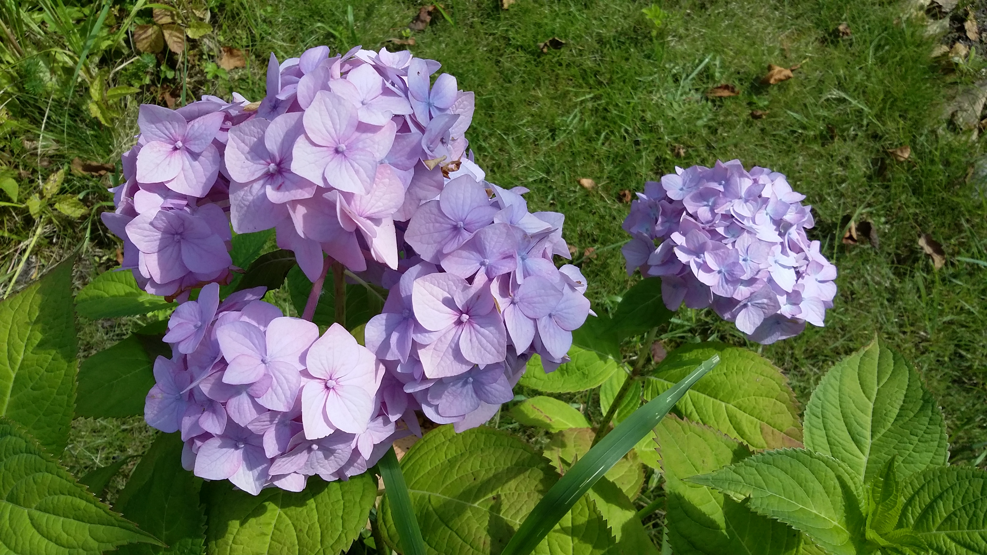 20170807_115506.jpg