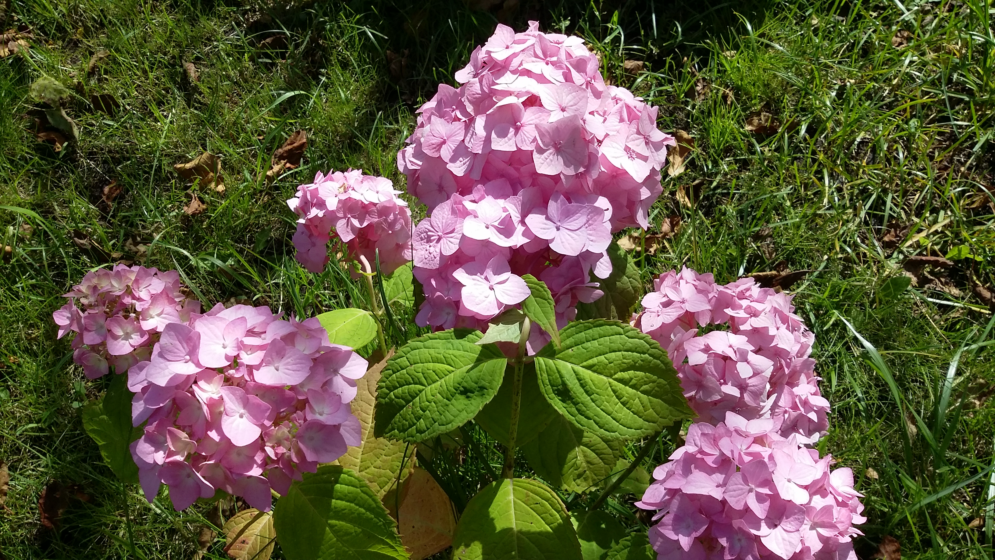 20170807_115514.jpg