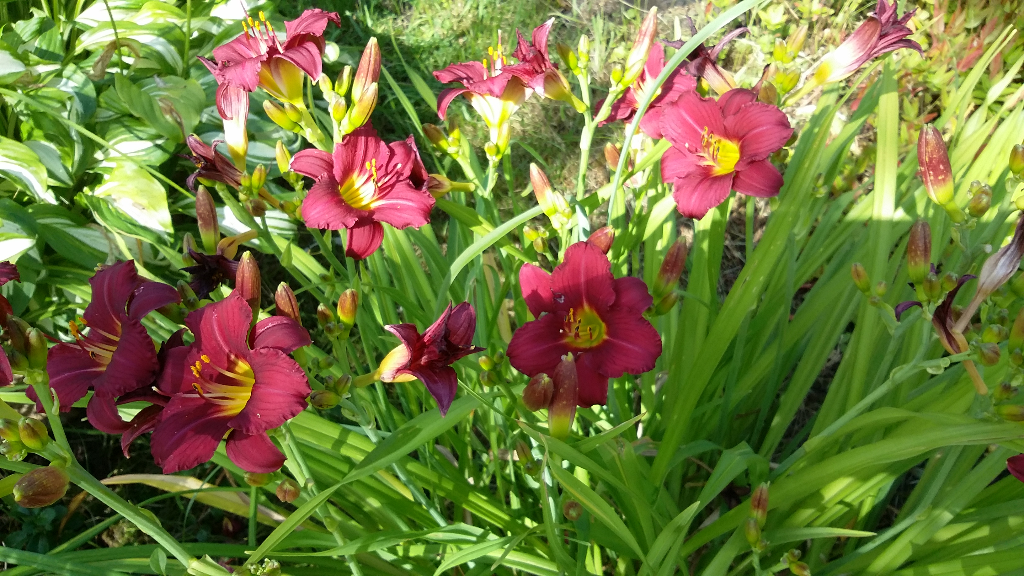 20170807_115154.jpg