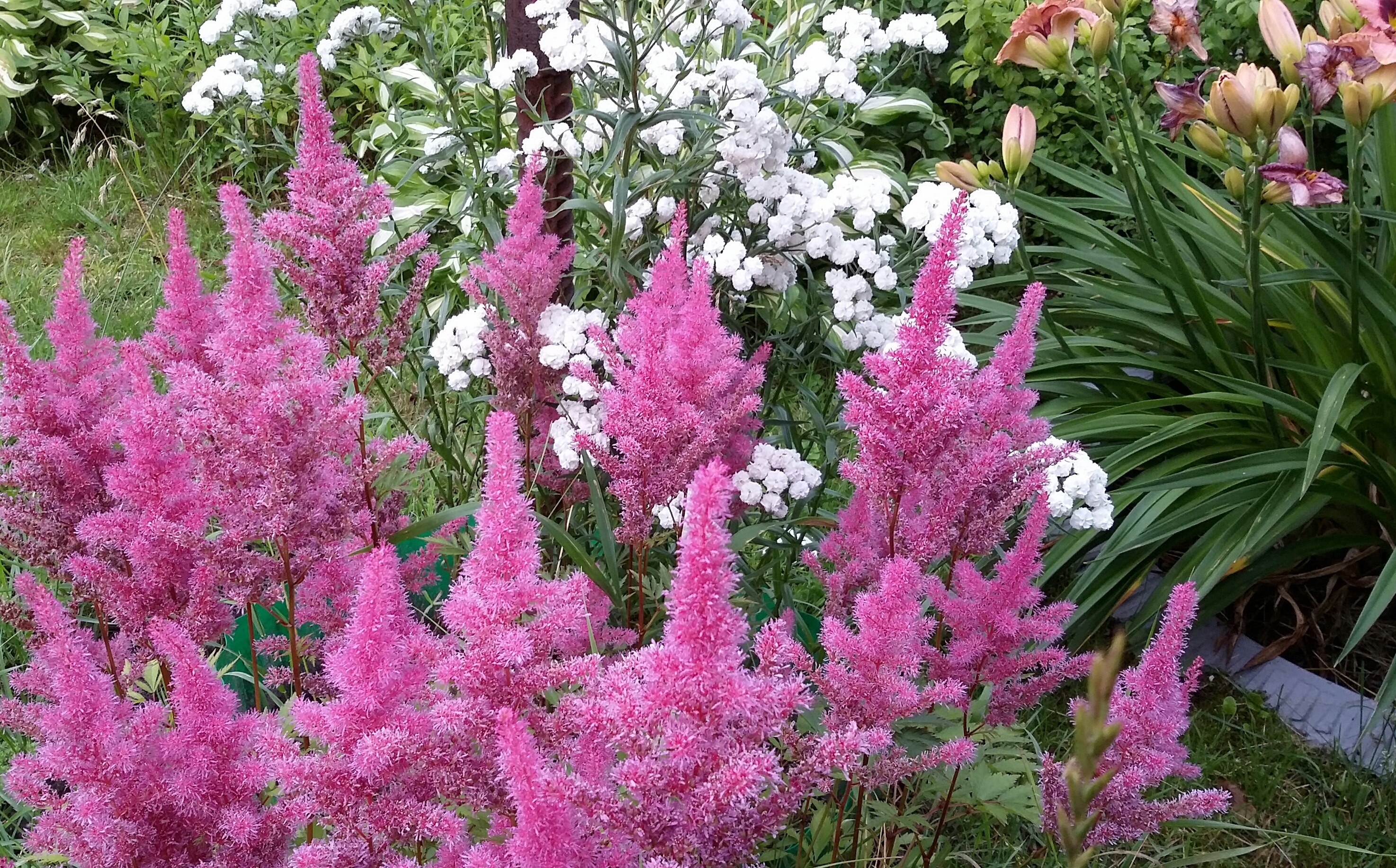 2017-08-07 00.55.17.jpg
