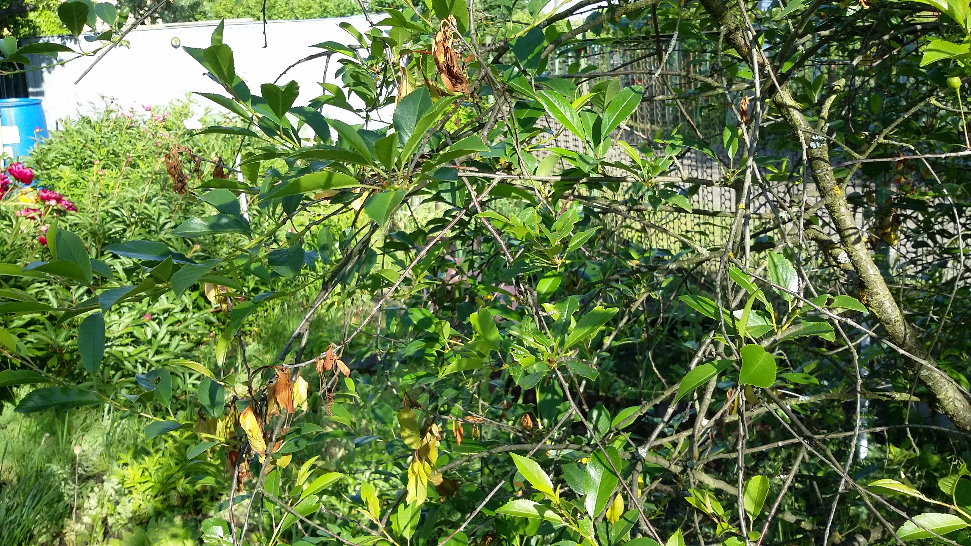 20170625_171636.jpg