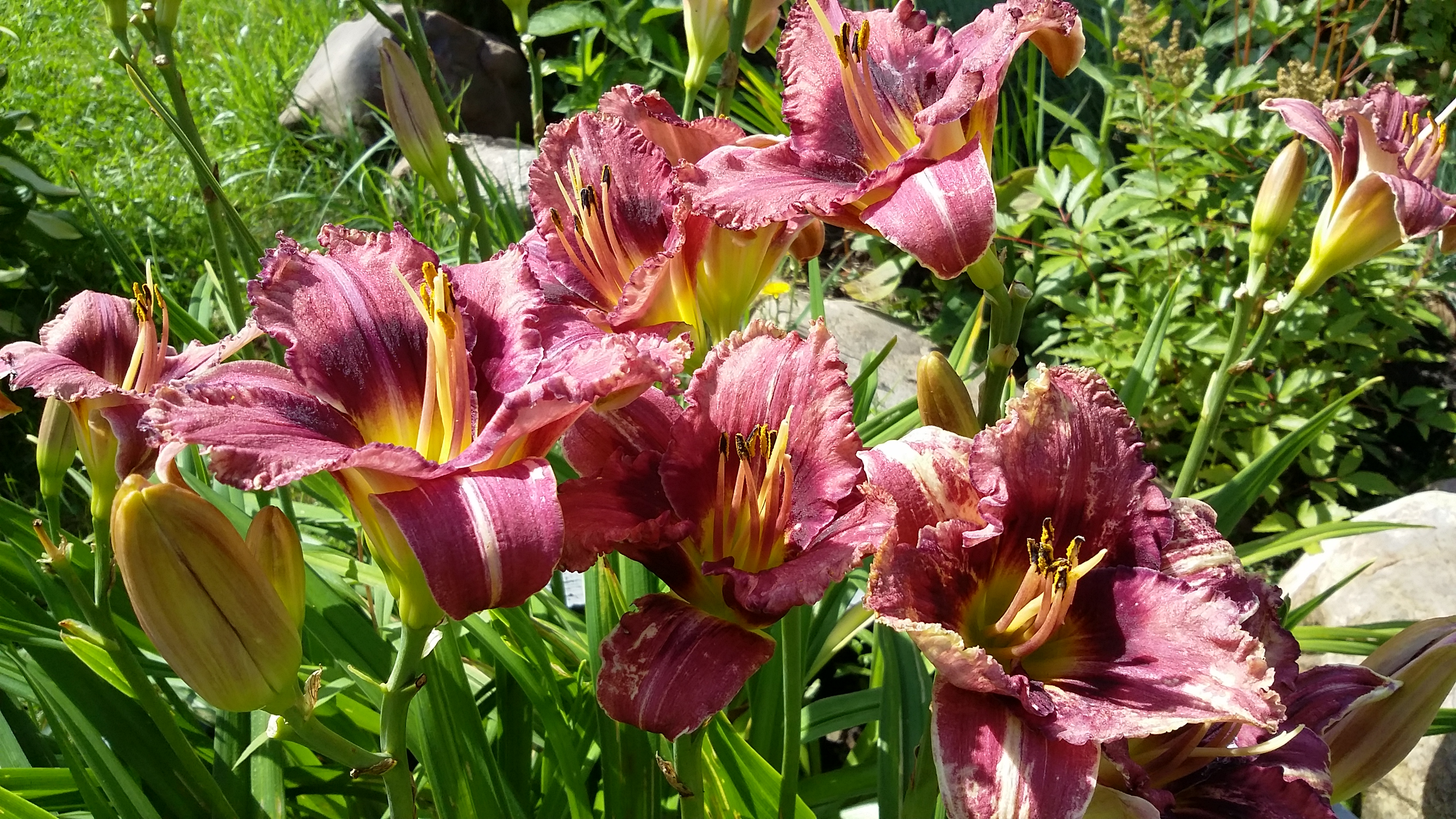 20170807_115405.jpg