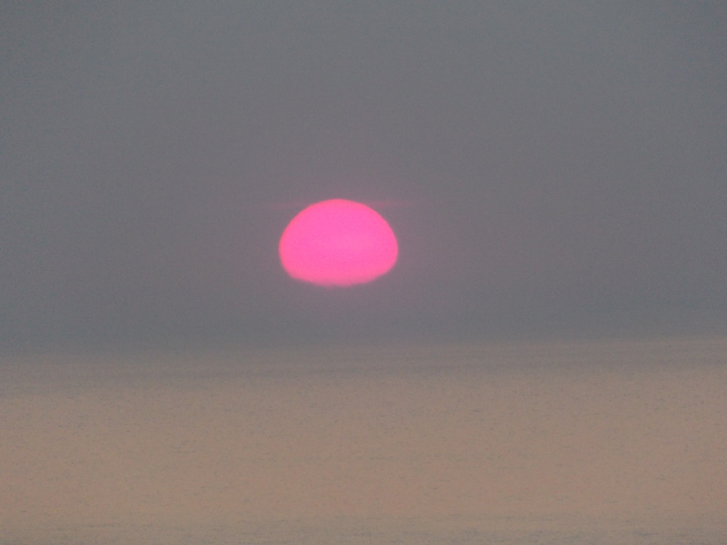 DSCN2383.JPG
