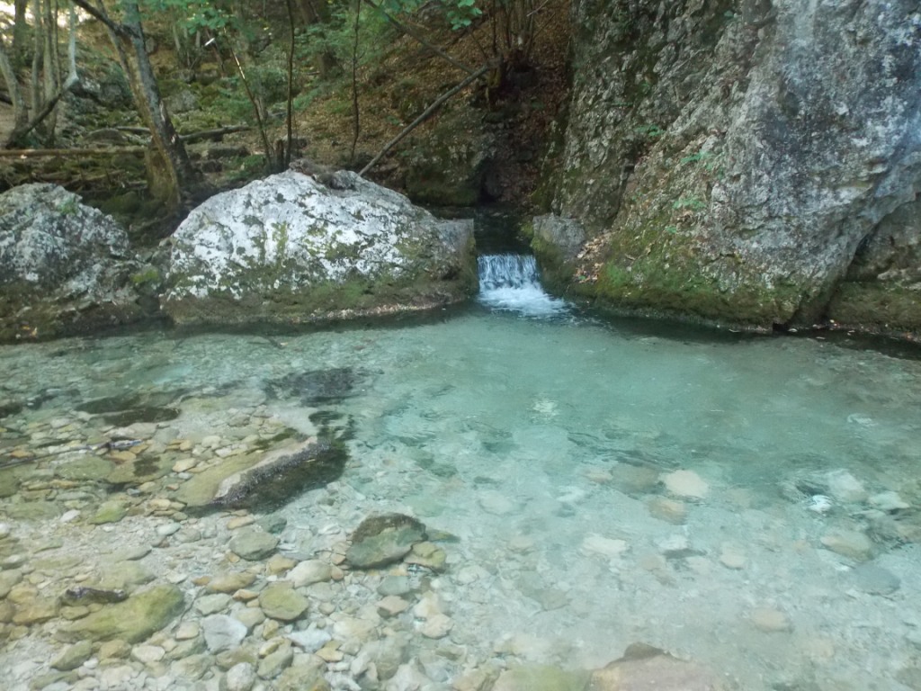 DSCN2698.JPG
