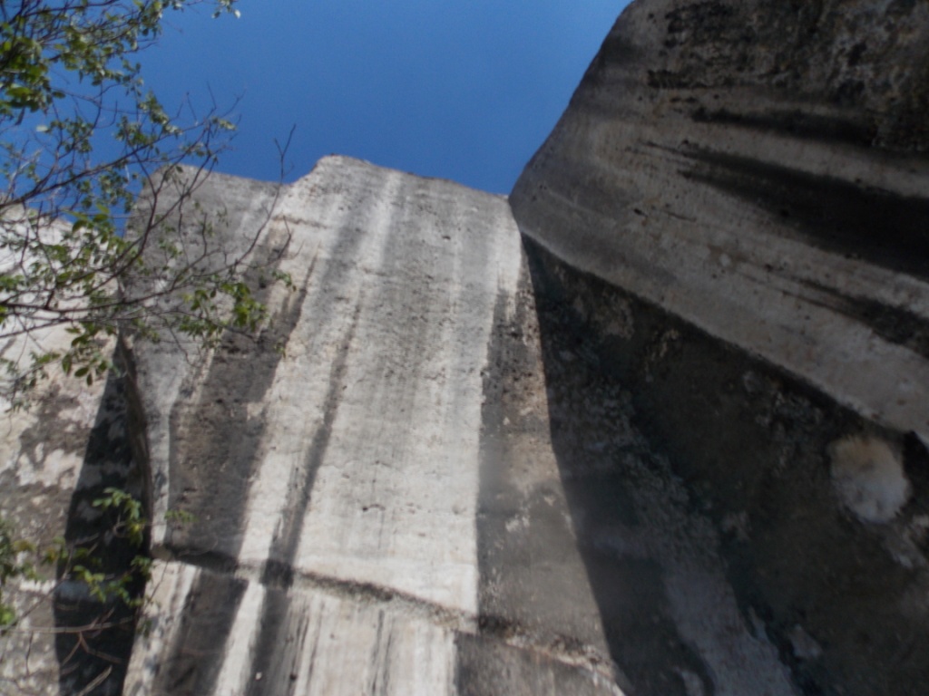 DSCN2345.JPG