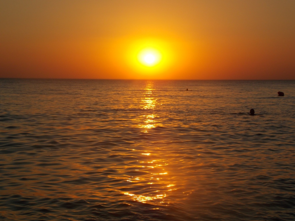 DSCN2350.JPG