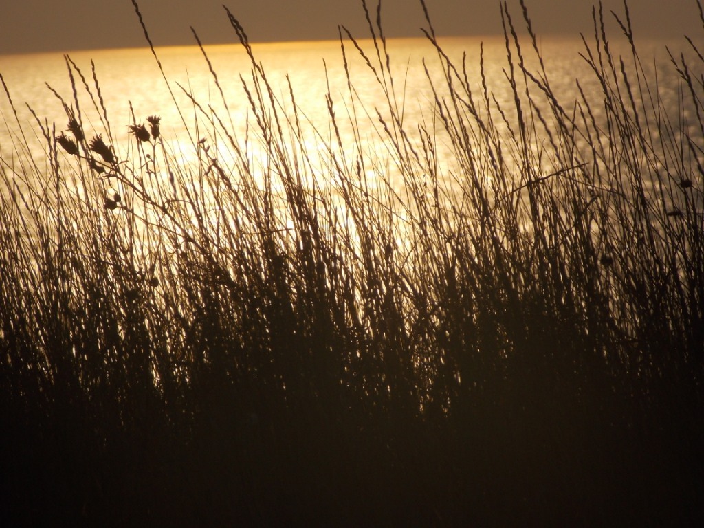 DSCN2372.JPG