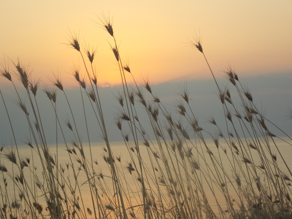 DSCN2380.JPG