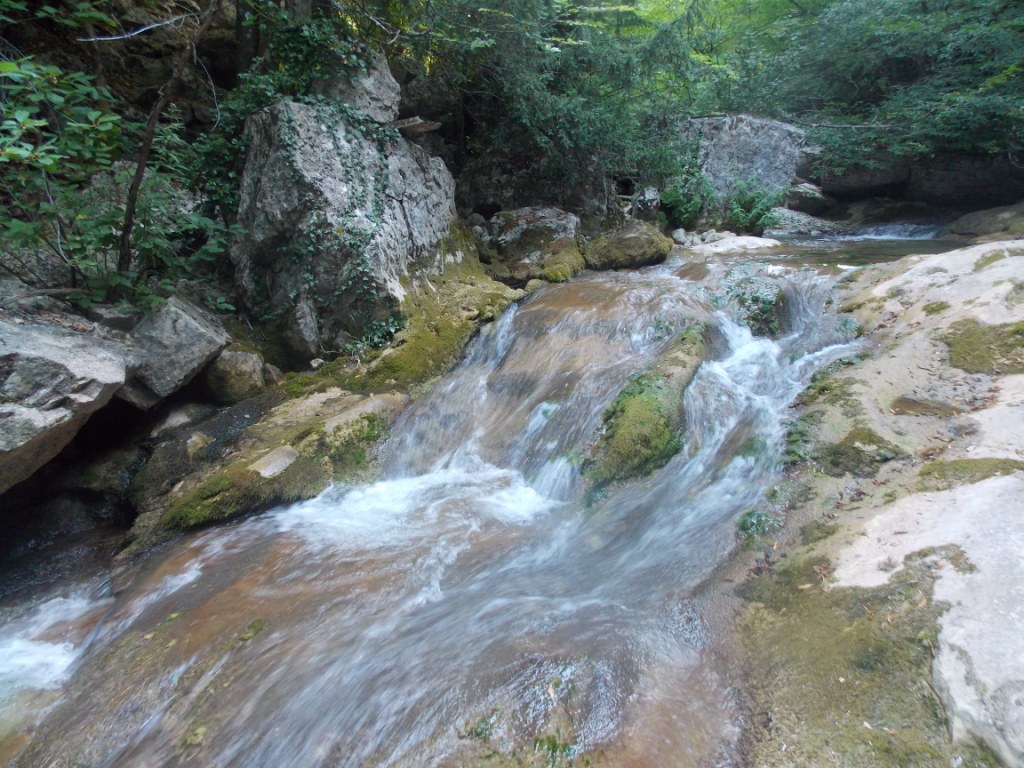 DSCN2655.JPG