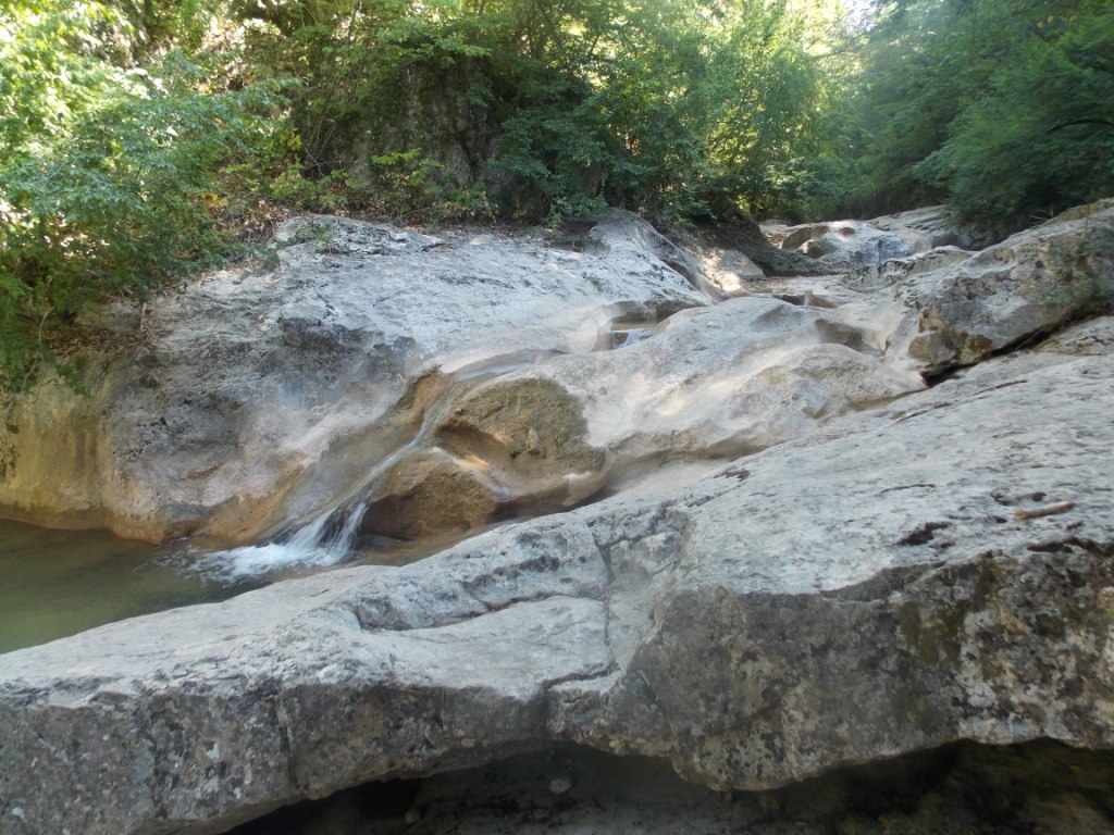 DSCN2716.JPG