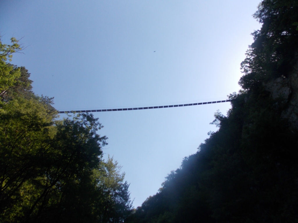 DSCN2645.JPG