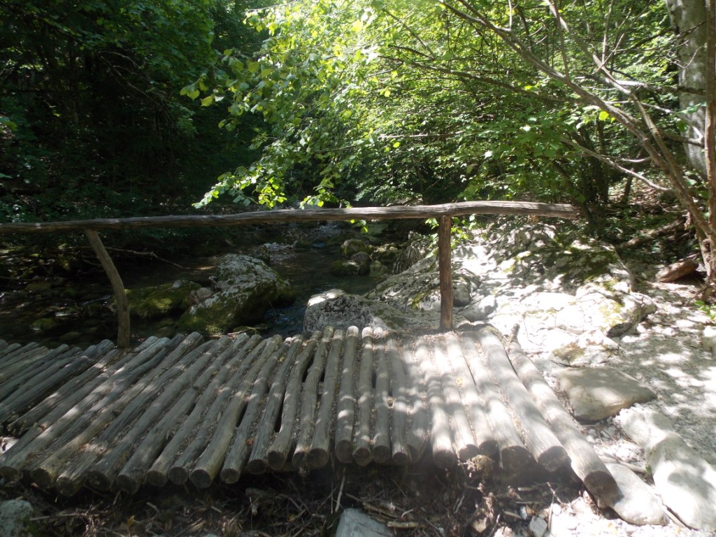DSCN2786.JPG