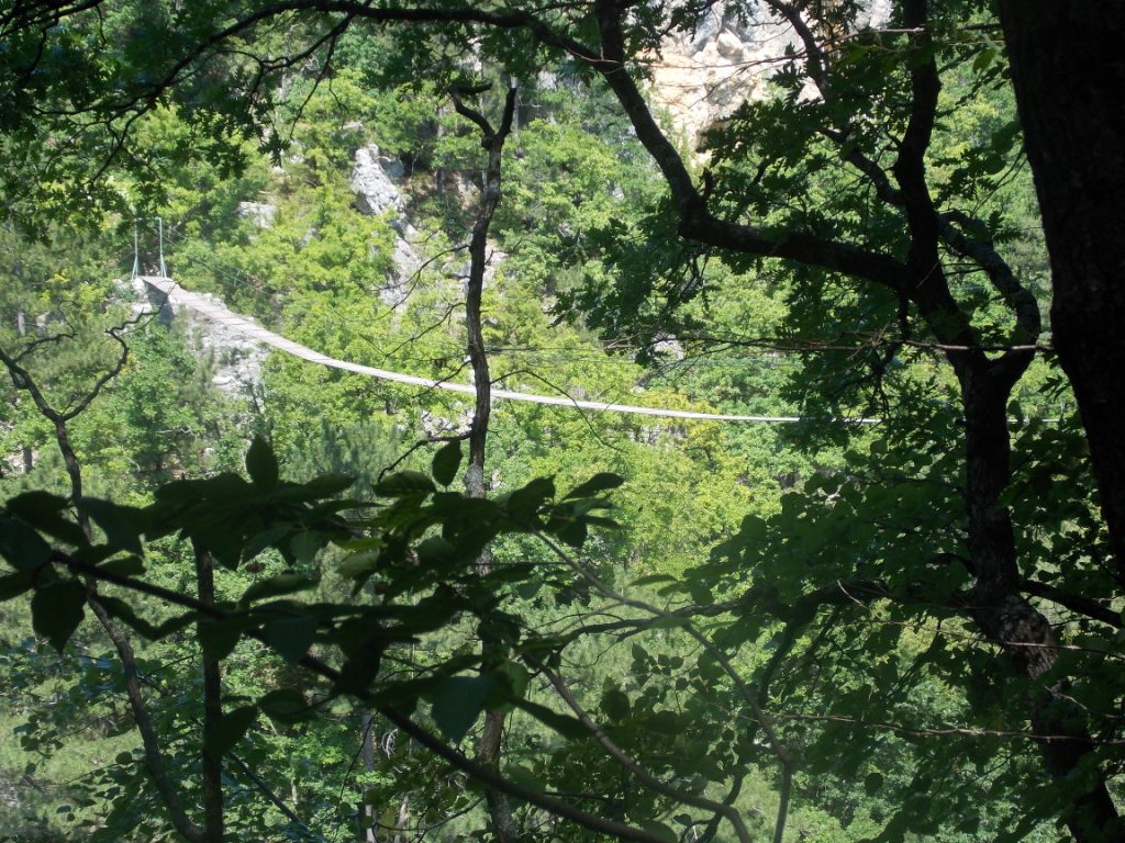 DSCN2802.JPG