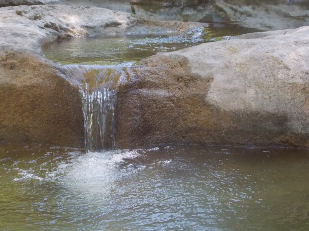 DSCN2731.JPG