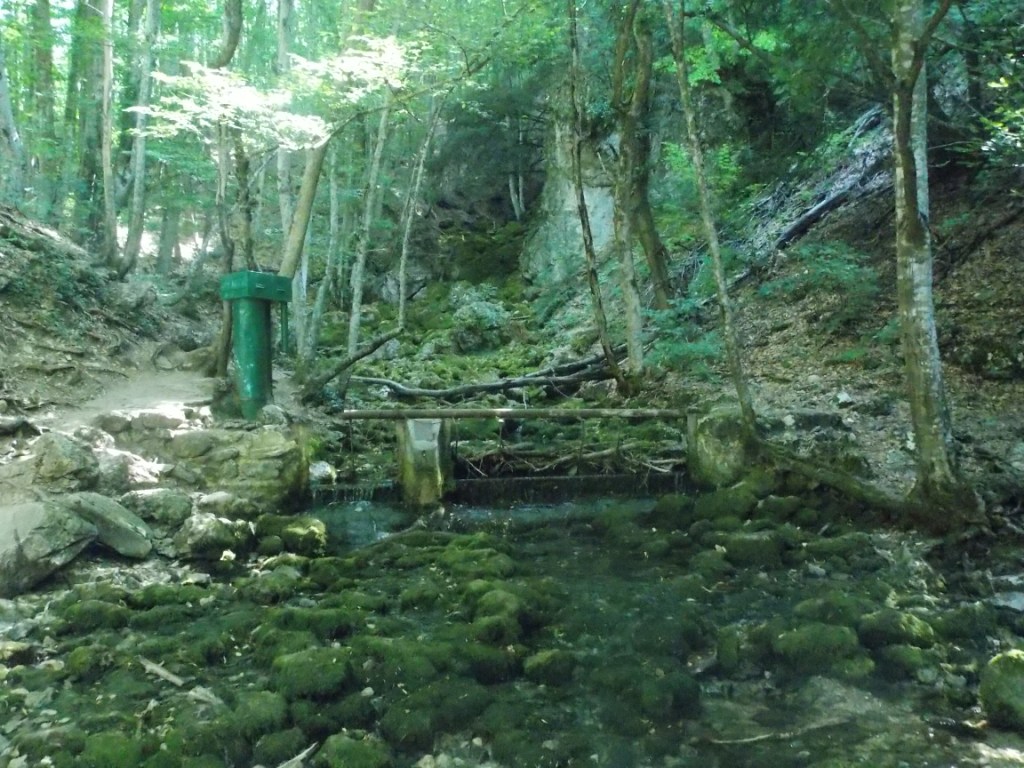 DSCN2699.JPG