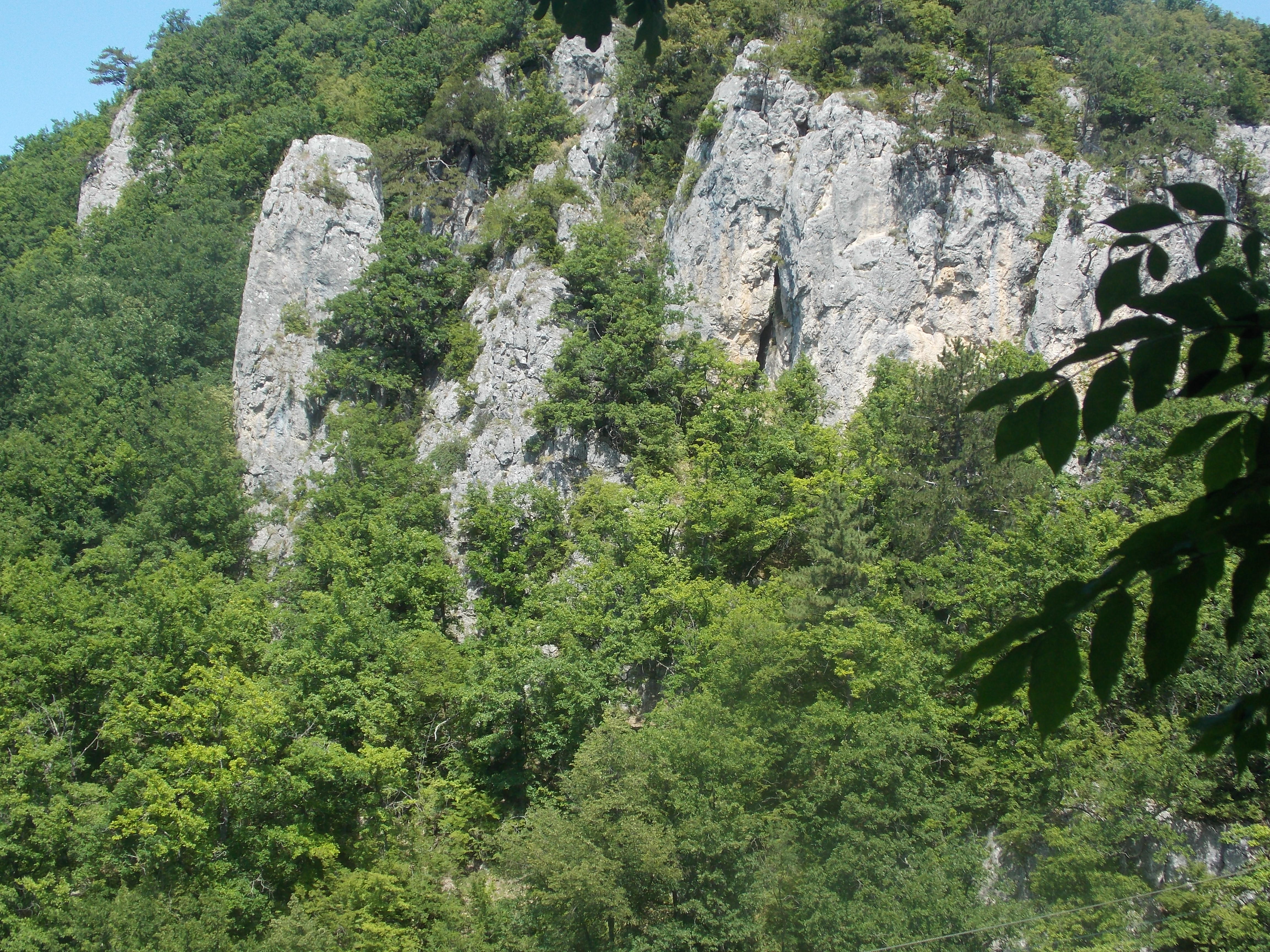 DSCN2803.JPG