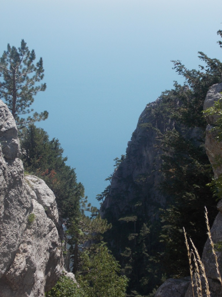 DSCN2848.JPG