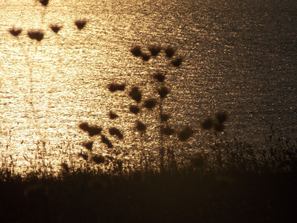 DSCN2373.JPG