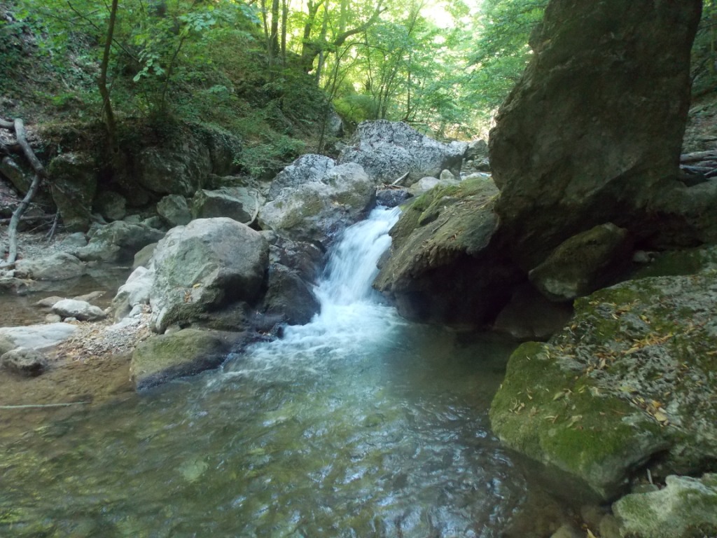 DSCN2633.JPG