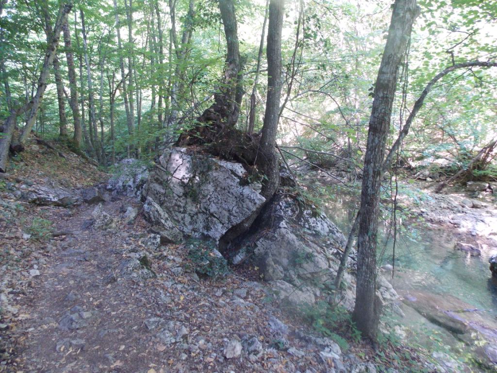 DSCN2643.JPG