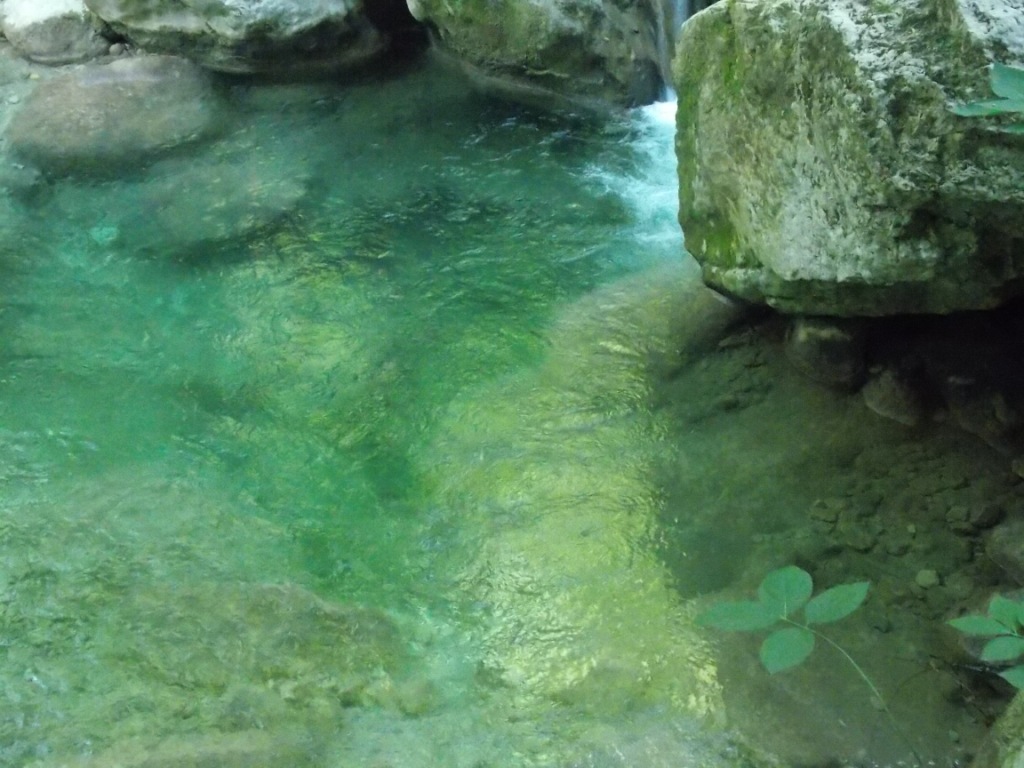 DSCN2623.JPG