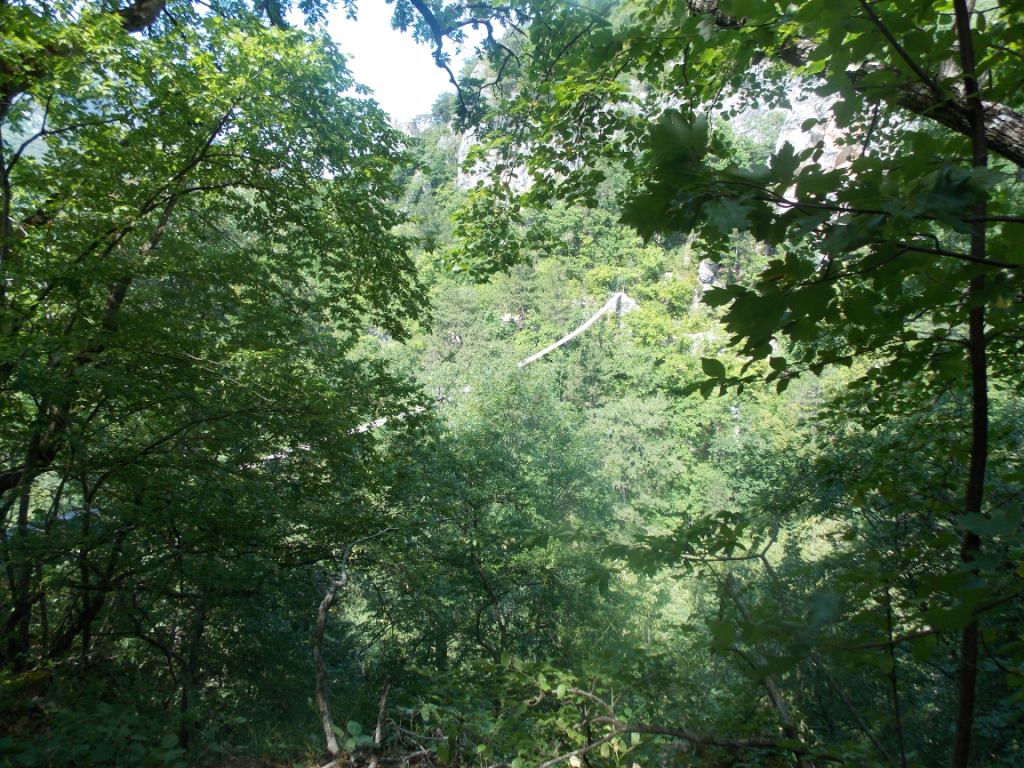 DSCN2795.JPG