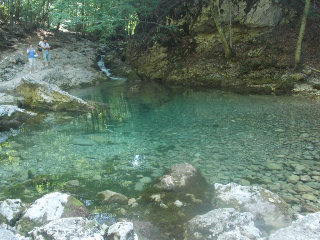 DSCN2670.JPG
