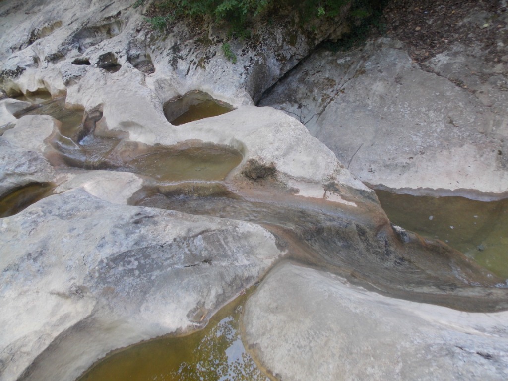 DSCN2719.JPG