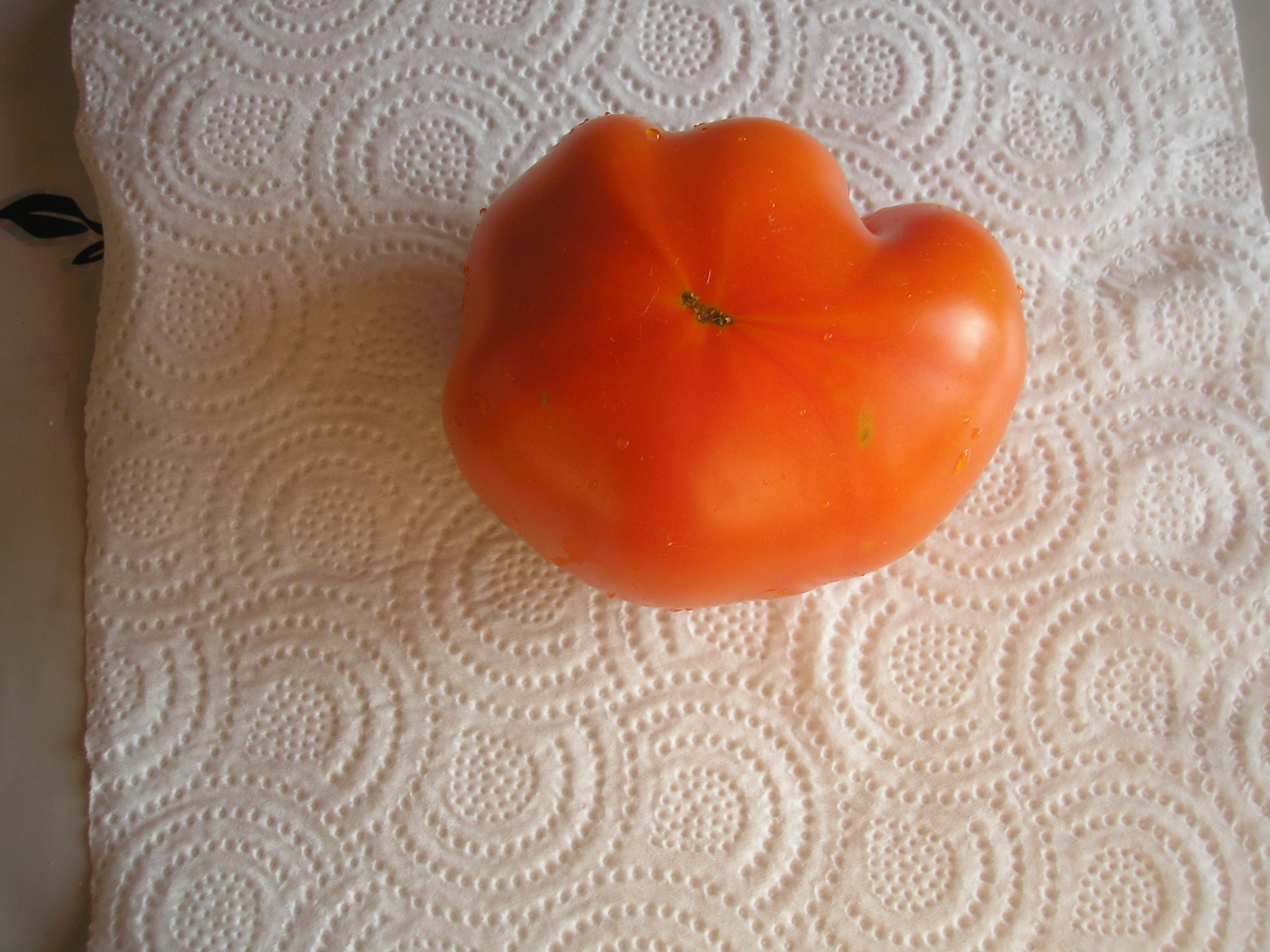 P1010002.JPG