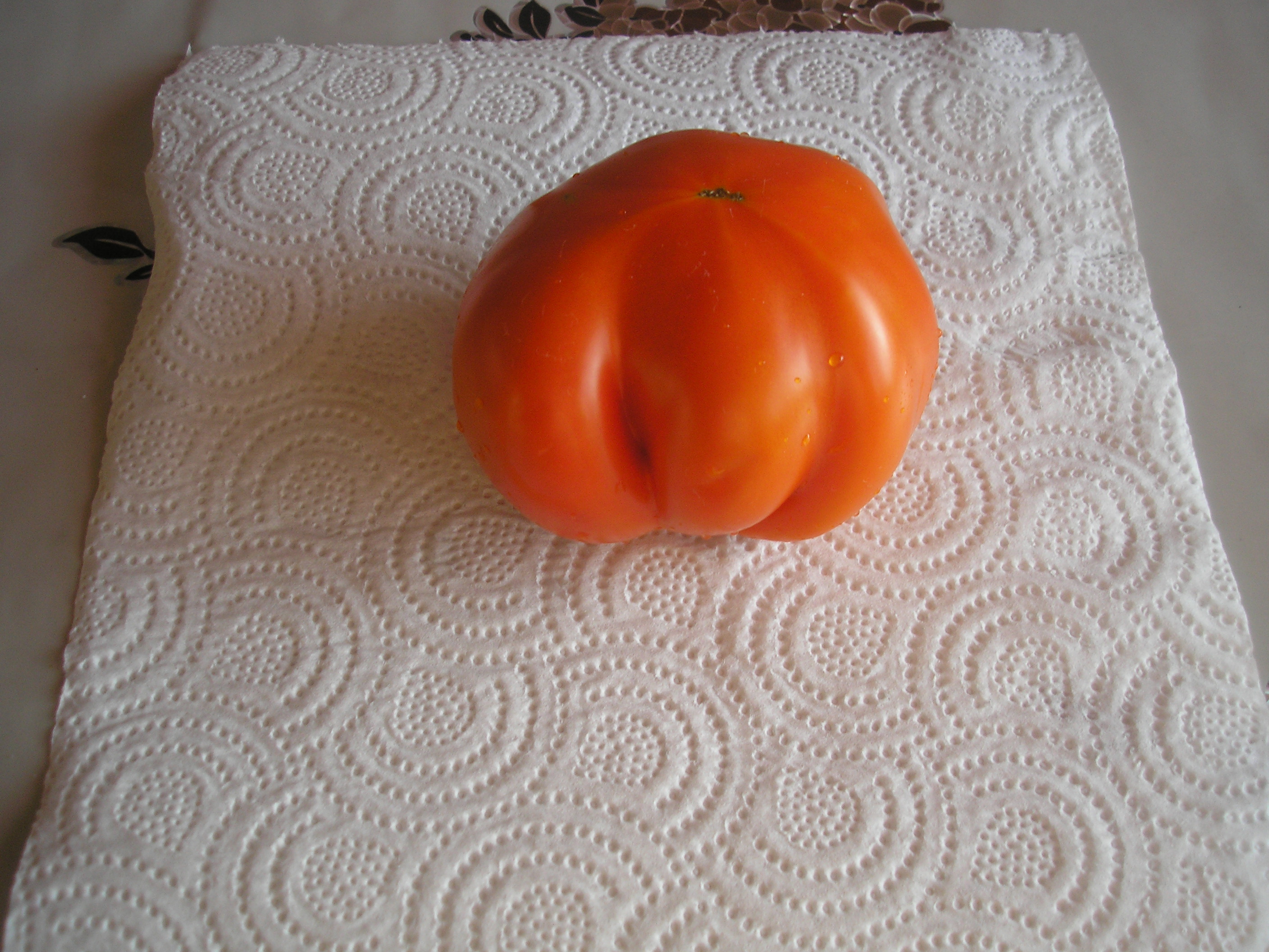 P1010003.JPG