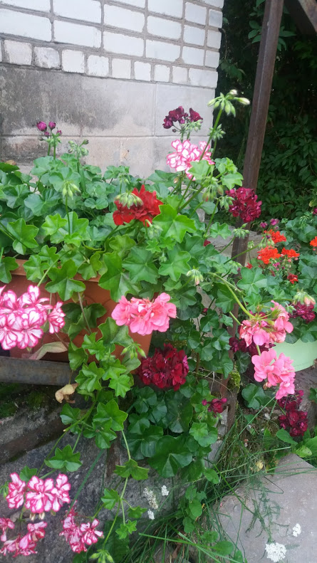 20170818_193939.jpg