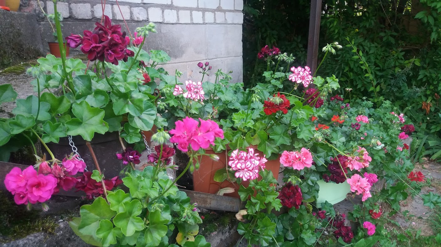 20170818_194030.jpg