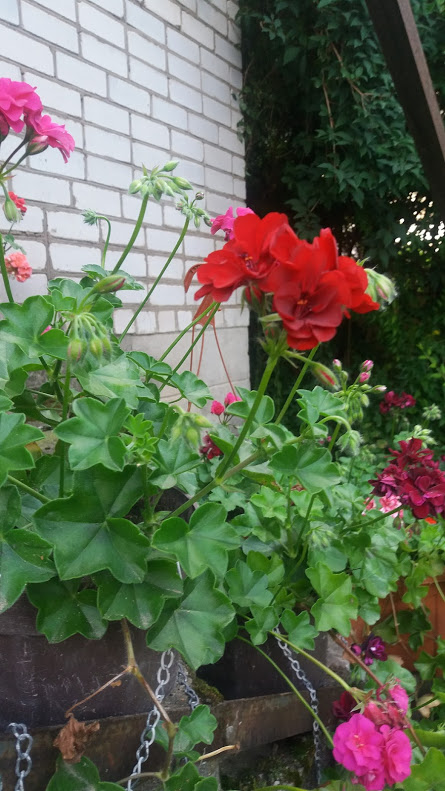 20170818_193957.jpg
