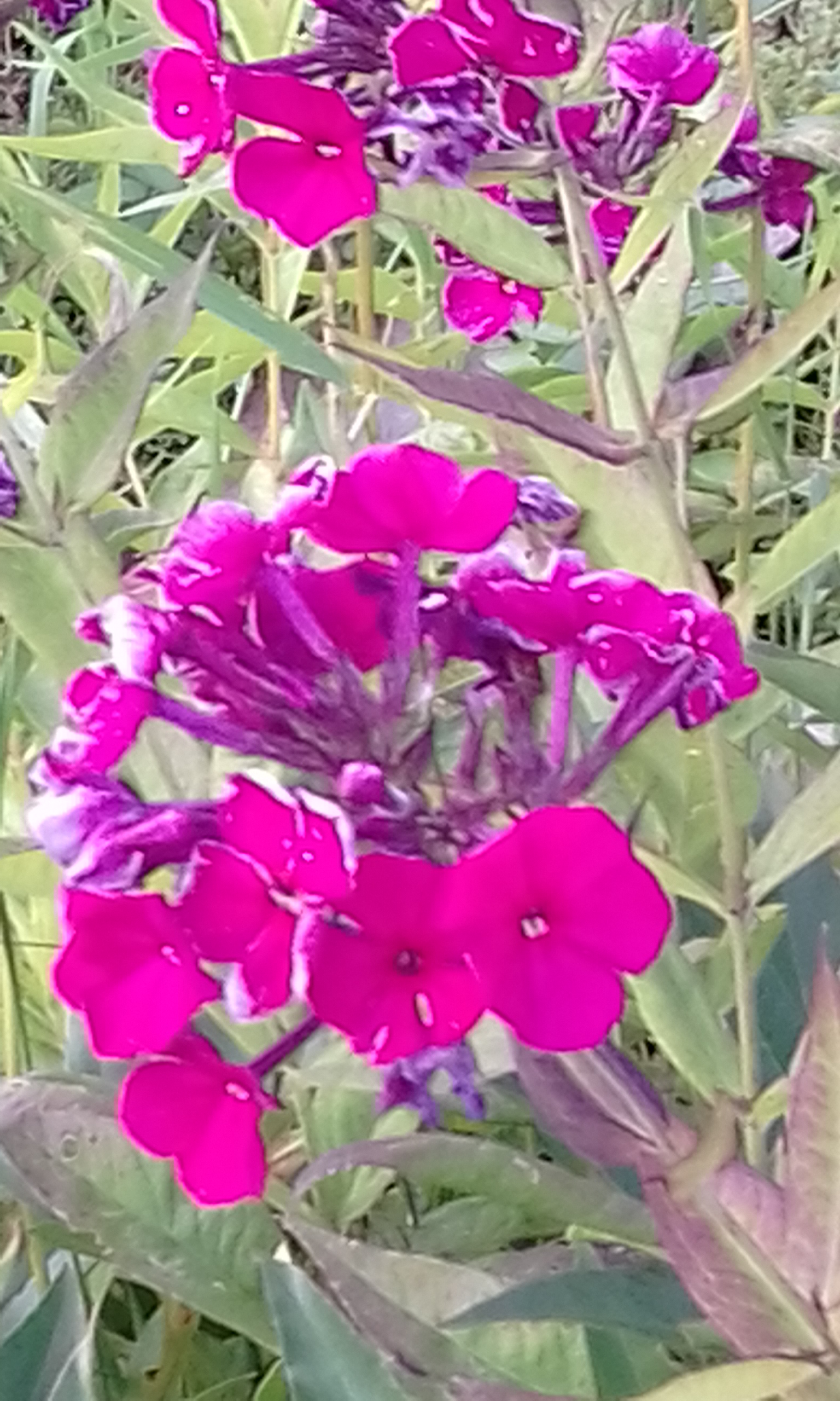 20170814_082043.jpg