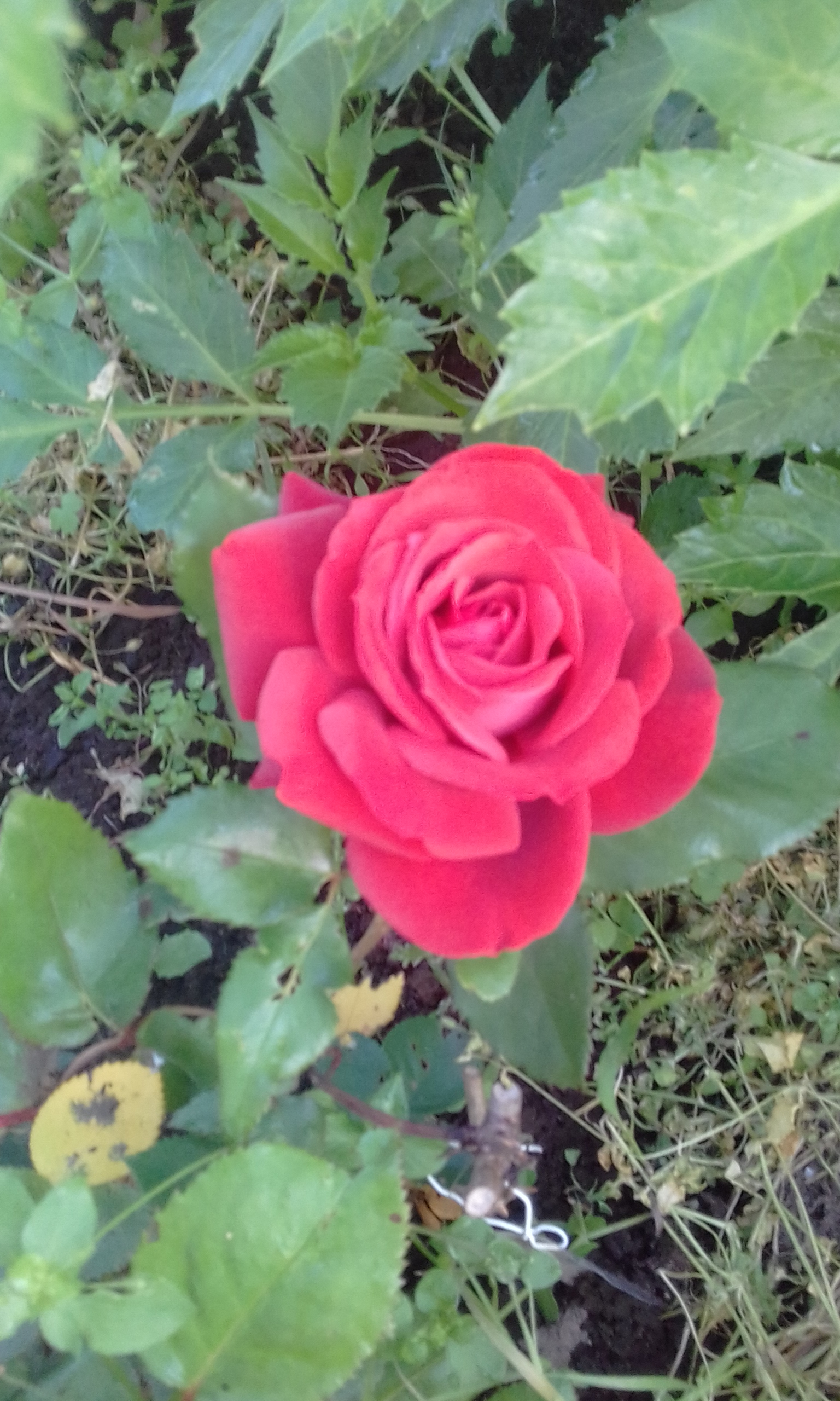 20170804_075557.jpg