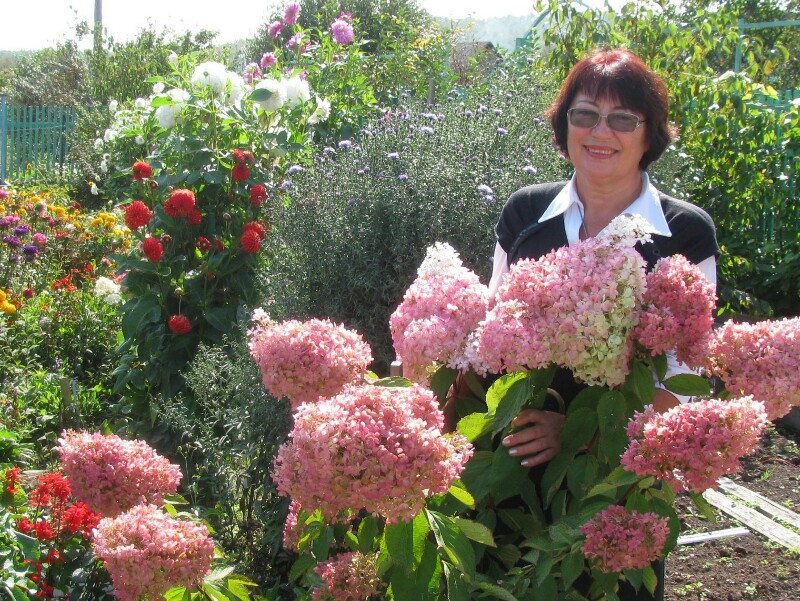 image-800x601.jpg