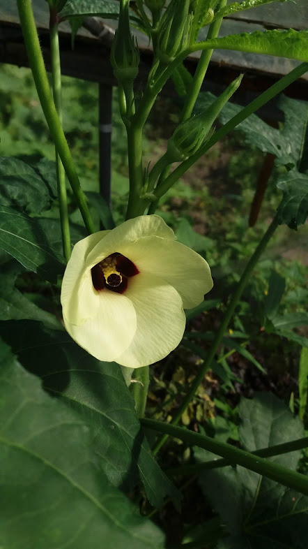 20180807_105056.jpg