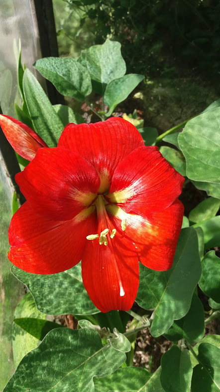 20180807_105043.jpg