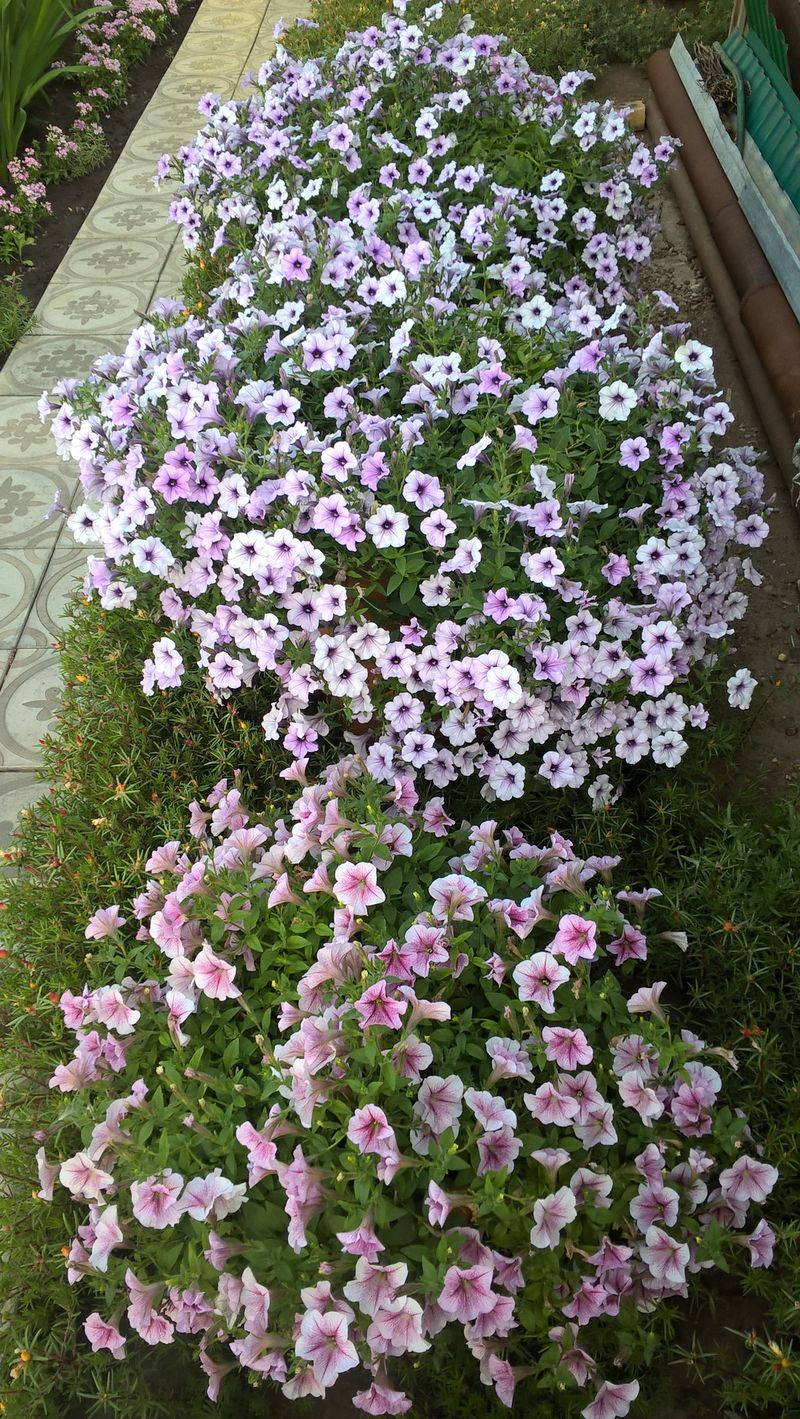WP_20180728_07_21_56_Pro.jpg